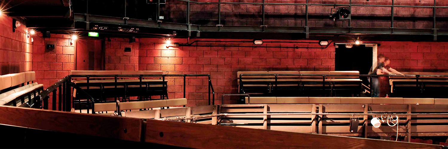 Young Vic Auditorium