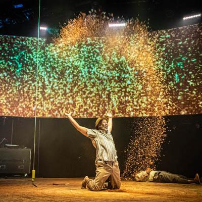 Tree at Manchester International Festival. Photo by Marc Brenner.