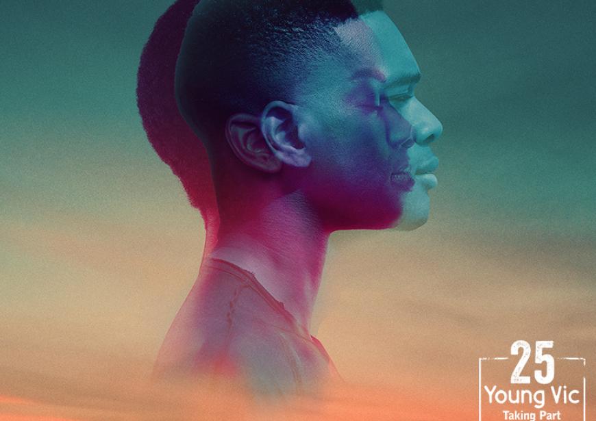 A purple-hued right profile of a dark-skinned woman with short hair is overlaid by a blue-hued right profile of a dark-skinned man. Where their faces overlap, the colours blend from iridescent blue to fuchsia pink. The background is a summer sunset and the words I Wonder If... are in white capitals superimposed over their neck and shoulders. A white stamp with the words 'Young Vic Taking Part' with the number 25 above in the bottom right.