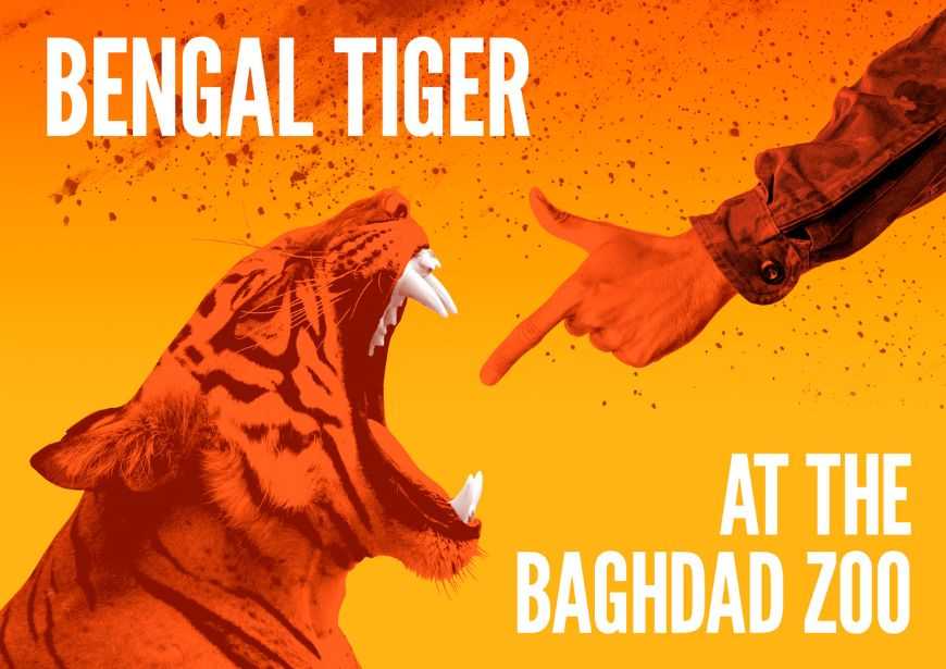 Against an orange background, a man's arm dressed in camouflage is shooting a finger gun in the face of a roaring tiger. White text over the top reads Bengal Tiger at the Baghdad Zoo.