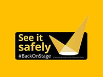 See it safely logo