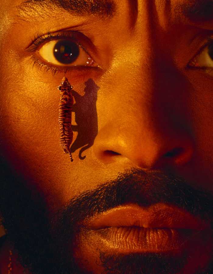 A close crop of a person's face with a full ginger beard and moustache lit with orange and red hues. The person has a tiger walking up their cheek towards their eye. 