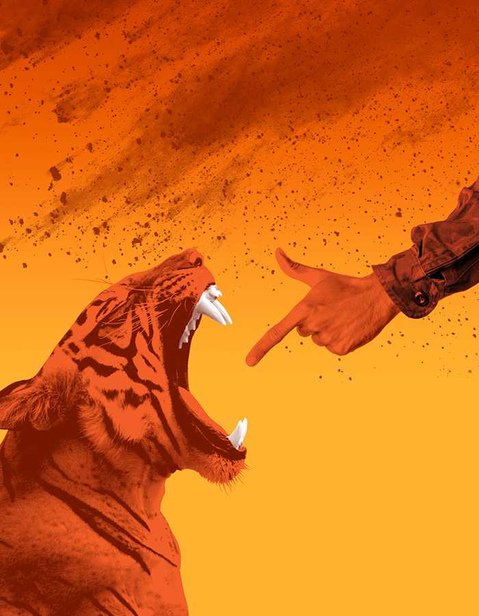 Against an orange background, a man's arm dressed in camouflage is shooting a finger gun in the face of a roaring tiger.