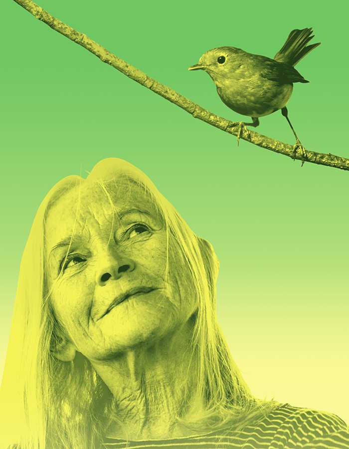 Against a light green background, an elderly lady looks upwards at a bird perched on a branch over her.