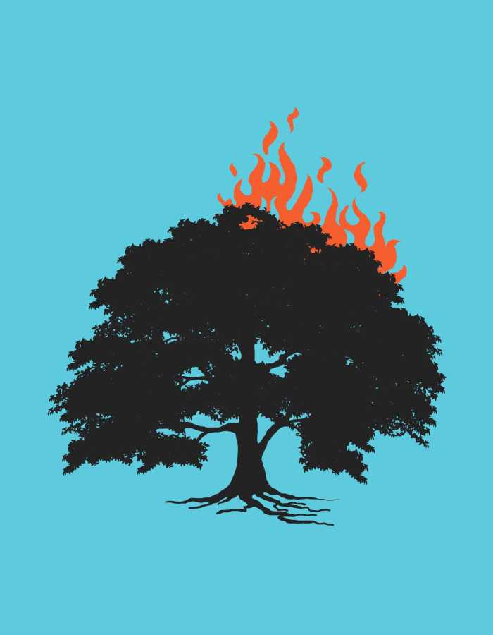 A graphic of a tree with flames coming out of one side on a blue background