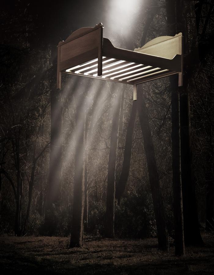 A bed is suspended high above the ground. Great shafts of light shine through the slats of the bed from above, reaching the middle of the image and fading away into the dusty, dark space below. Behind and around the bed, we can make out a forest scene: tall, thin tree trunks and branches and a bed of leaves or grass below. The image is flooded with an autumnal, brown-ish wash. 