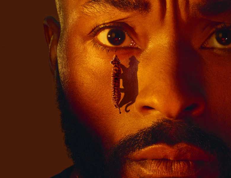 A close crop of a person's face with a full ginger beard and moustache lit with orange and red hues. The person has a tiger walking up their cheek towards their eye. 