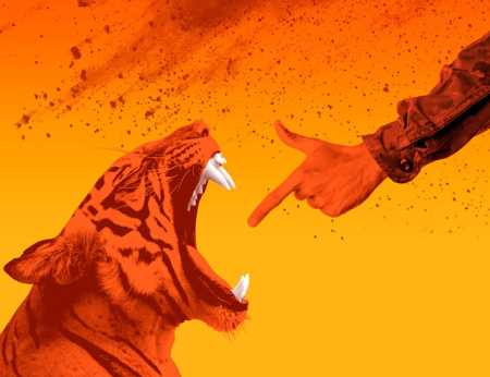 Against an orange background, a man's arm dressed in camouflage is shooting a finger gun in the face of a roaring tiger.