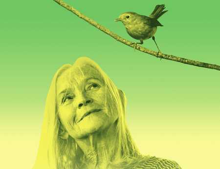 Against a light green background, an elderly lady looks upwards at a bird perched on a branch over her. 