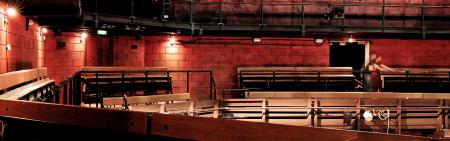 Young Vic Auditorium
