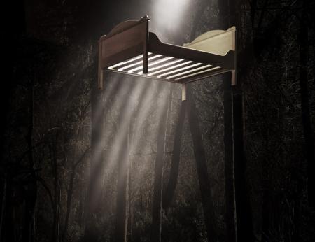 A bed is suspended high above the ground. Great shafts of light shine through the slats of the bed from above, reaching the middle of the image and fading away into the dusty, dark space below. Behind and around the bed, we can make out a forest scene: tall, thin tree trunks and branches and a bed of leaves or grass below. The image is flooded with an autumnal, brown-ish wash. 