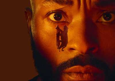 A close crop of a person's face with a full ginger beard and moustache lit with orange and red hues. The person has a tiger walking up their cheek towards their eye. 