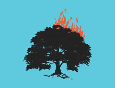 A graphic of a tree with flames coming out of one side on a blue background