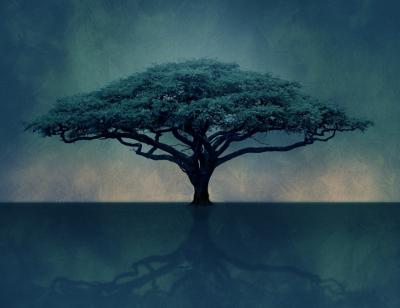 Tree at the Young Vic