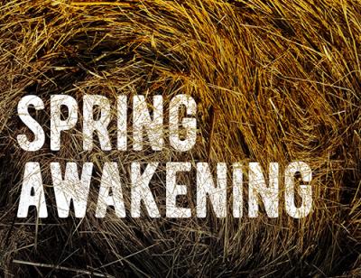 The title 'SPRING AWAKENING' sits in a pile of golden hay. There is a faint indent in the hay suggesting it has recently been disturbed, and the title is partially obscured by the scattering of straw. Sunlight shines brightly on the way towards the top of the image, which gets much darker and more shadowy towards the bottom. 
